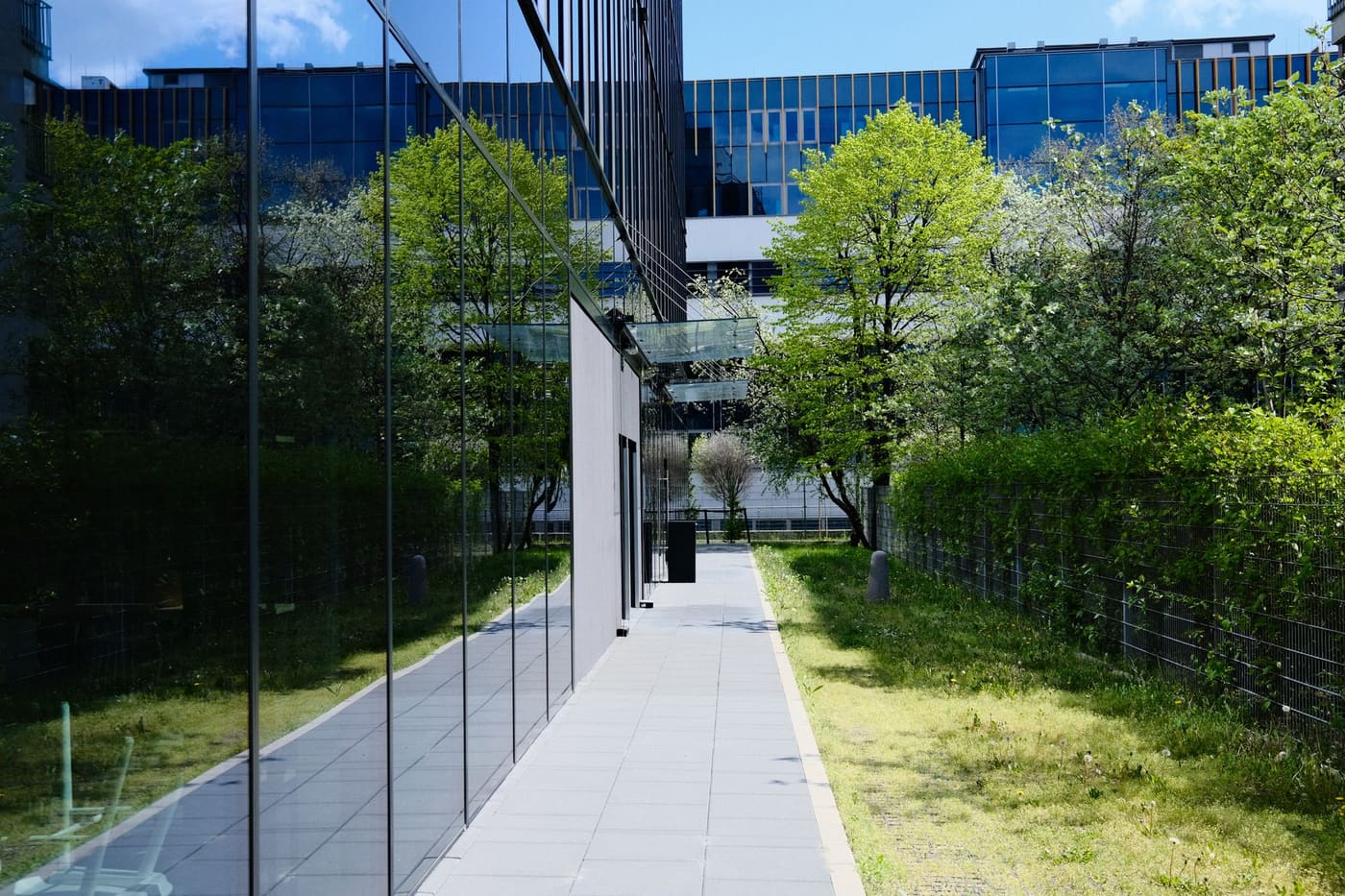 A paved walkway beside a glass office building with trees and a lawn